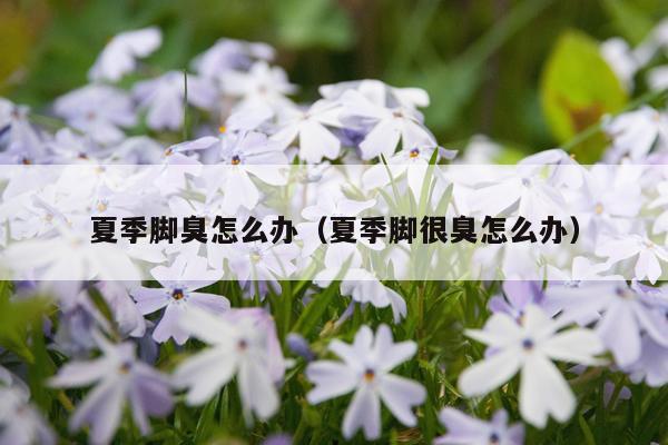 夏季脚臭怎么办（夏季脚很臭怎么办）