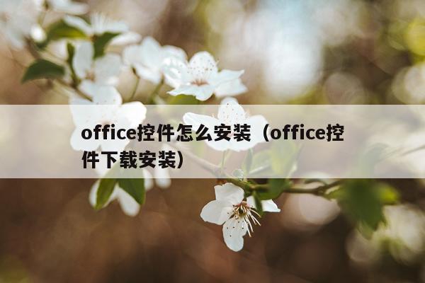 office控件怎么安装(office控件下载安装)