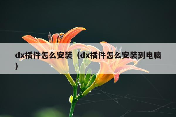 dx插件怎么安装(dx插件怎么安装到电脑)