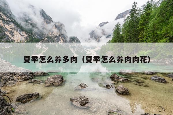 夏季怎么养多肉（夏季怎么养肉肉花）