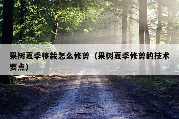 果树夏季移栽怎么修剪（果树夏季修剪的技术要点）