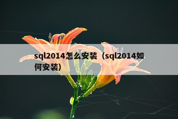 sql2014怎么安装(sql2014如何安装)