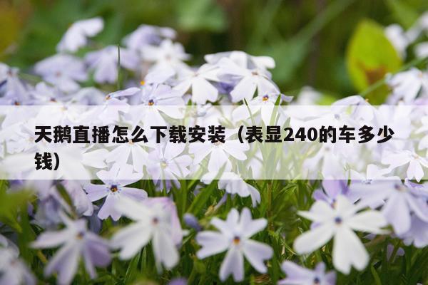 天鹅直播怎么下载安装(表显240的车多少钱)