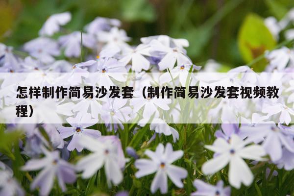 怎样制作简易沙发套（制作简易沙发套视频教程）
