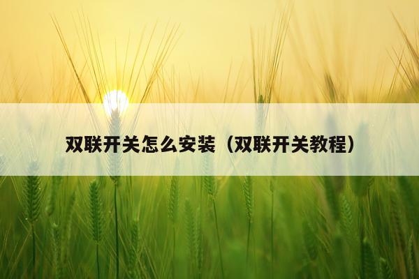 双联开关怎么安装(双联开关教程)