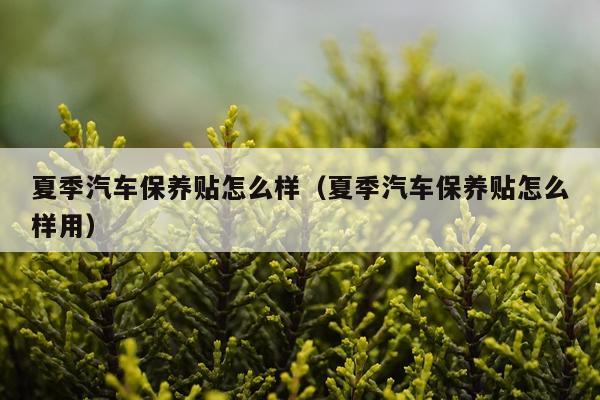 夏季汽车保养贴怎么样（夏季汽车保养贴怎么样用）