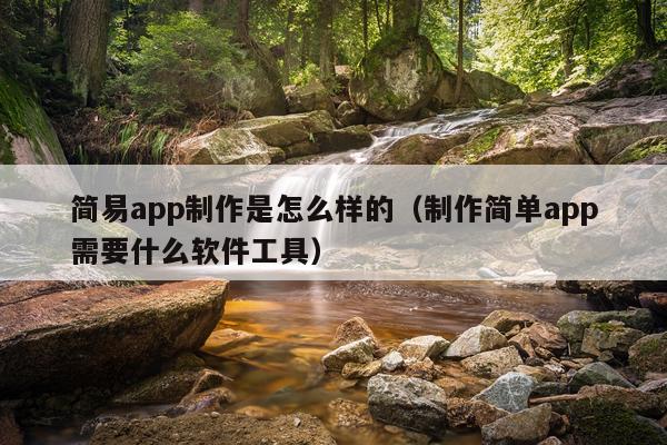 简易app制作是怎么样的（制作简单app需要什么软件工具）