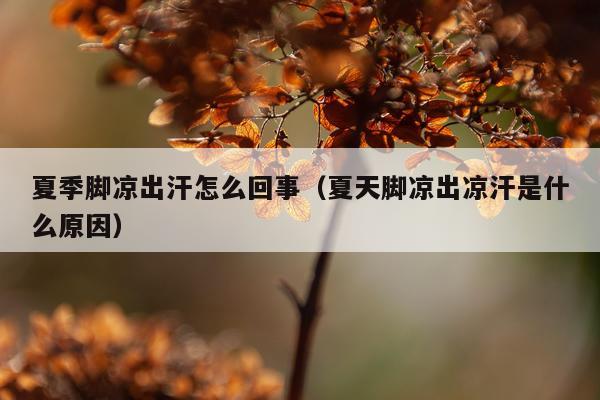 夏季脚凉出汗怎么回事（夏天脚凉出凉汗是什么原因）
