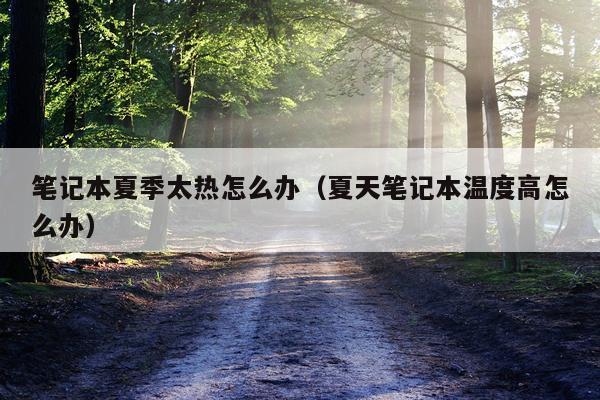 笔记本夏季太热怎么办（夏天笔记本温度高怎么办）