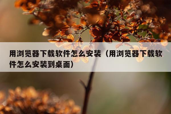 用浏览器下载软件怎么安装(用浏览器下载软件怎么安装到桌面)
