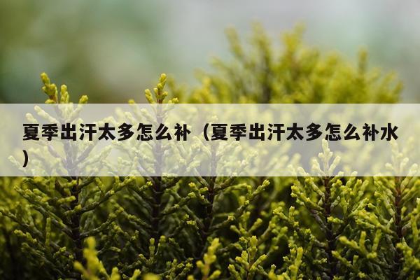 夏季出汗太多怎么补（夏季出汗太多怎么补水）