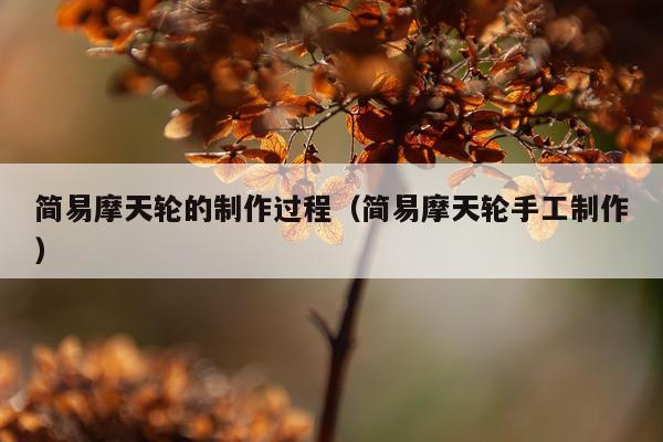 简易摩天轮的制作过程（简易摩天轮手工制作）