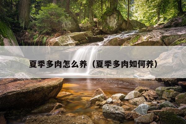 夏季多肉怎么养（夏季多肉如何养）