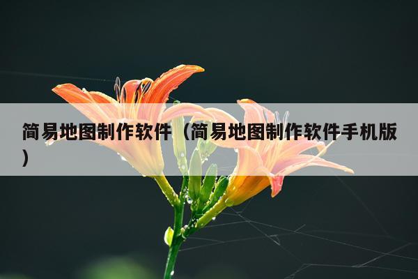 简易地图制作软件（简易地图制作软件手机版）