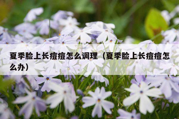 夏季脸上长痘痘怎么调理（夏季脸上长痘痘怎么办）