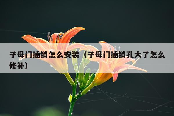 子母门插销怎么安装(子母门插销孔大了怎么修补)