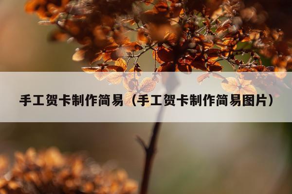 手工贺卡制作简易（手工贺卡制作简易图片）