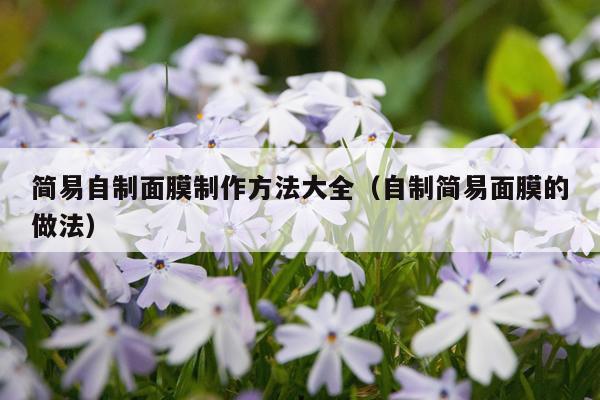 简易自制面膜制作方法大全（自制简易面膜的做法）