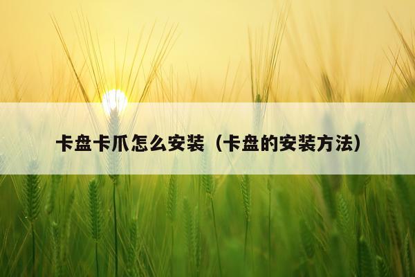 卡盘卡爪怎么安装(卡盘的安装方法)
