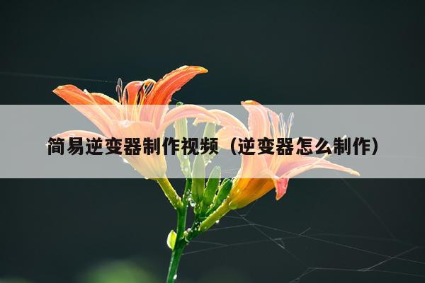 简易逆变器制作视频（逆变器怎么制作）