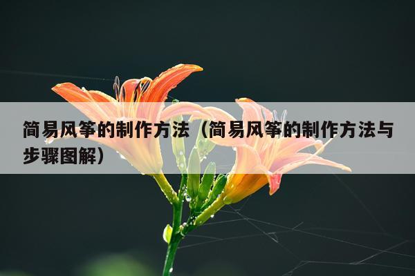 简易风筝的制作方法（简易风筝的制作方法与步骤图解）