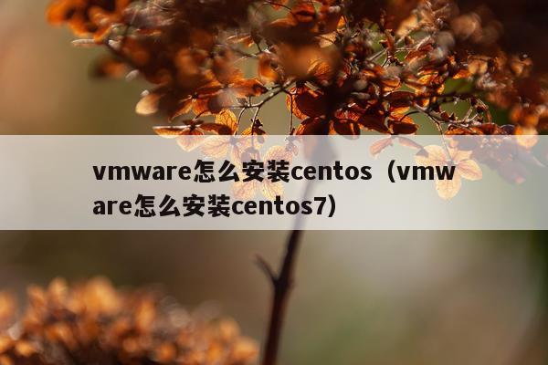 vmware怎么安装centos(vmware怎么安装centos7)