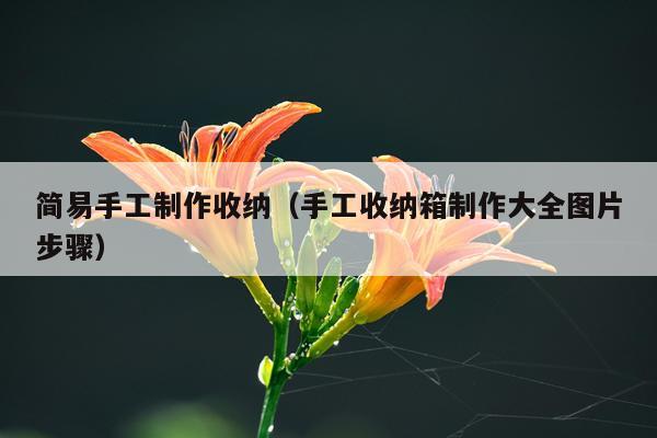 简易手工制作收纳（手工收纳箱制作大全图片步骤）