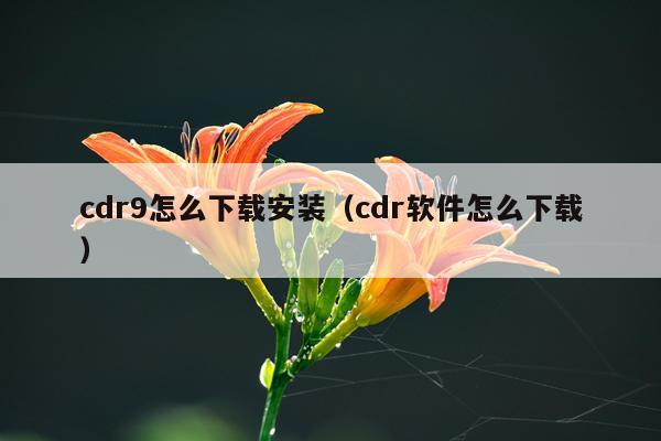 cdr9怎么下载安装(cdr软件怎么下载)