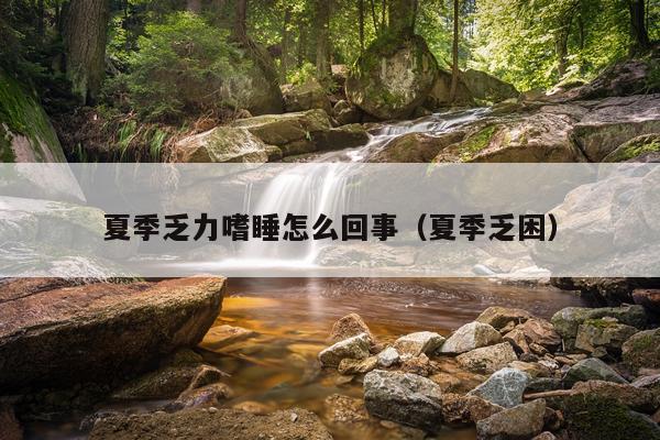 夏季乏力嗜睡怎么回事（夏季乏困）