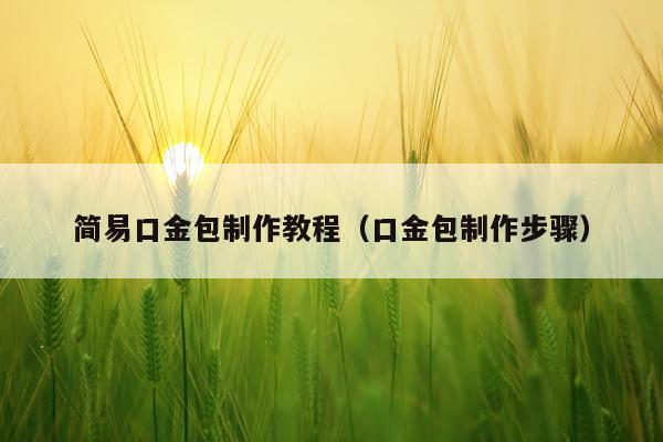 简易口金包制作教程（口金包制作步骤）