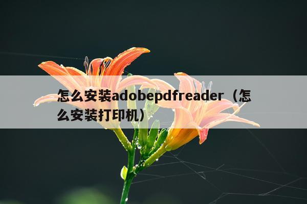 怎么安装adobepdfreader(怎么安装打印机)
