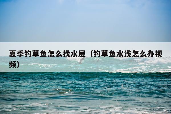 夏季钓草鱼怎么找水层（钓草鱼水浅怎么办视频）