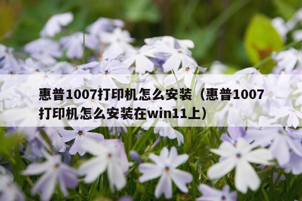惠普1007打印机怎么安装(惠普1007打印机怎么安装在win11上)