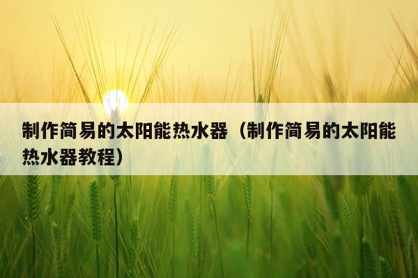 制作简易的太阳能热水器（制作简易的太阳能热水器教程）