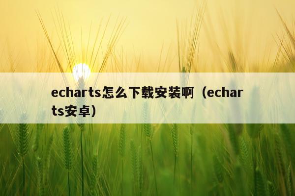 echarts怎么下载安装啊(echarts安卓)