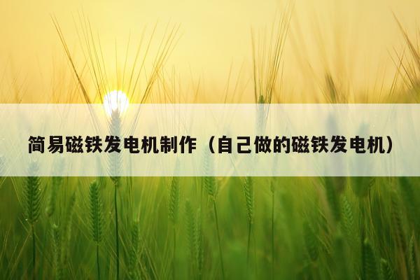 简易磁铁发电机制作（自己做的磁铁发电机）