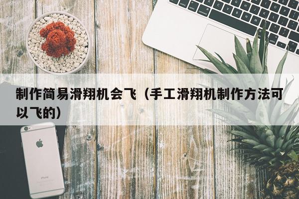 制作简易滑翔机会飞（手工滑翔机制作方法可以飞的）