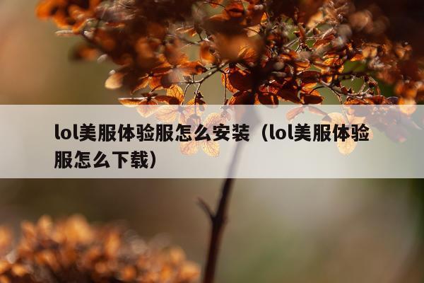 lol美服体验服怎么安装(lol美服体验服怎么下载)