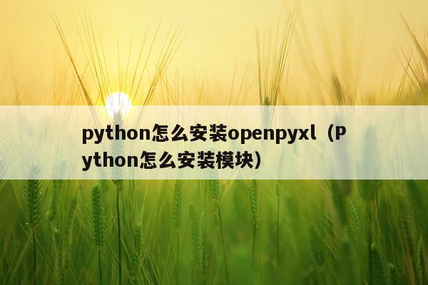 python怎么安装openpyxl(Python怎么安装模块)