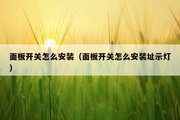 面板开关怎么安装(面板开关怎么安装址示灯)