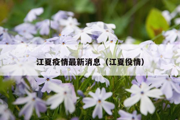 江夏疫情最新消息(江夏役情)