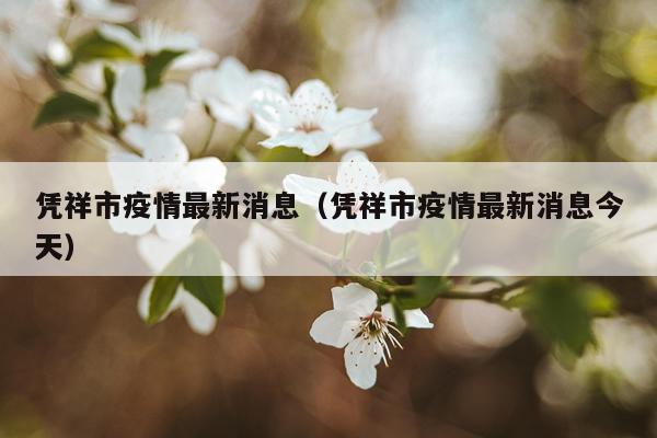 凭祥市疫情最新消息(凭祥市疫情最新消息今天)