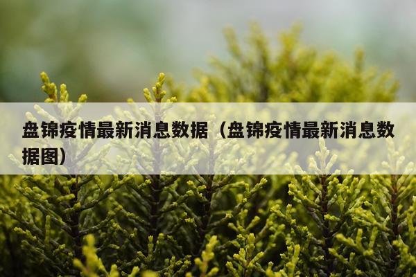 盘锦疫情最新消息数据（盘锦疫情最新消息数据图）