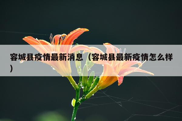 容城县疫情最新消息（容城县最新疫情怎么样）