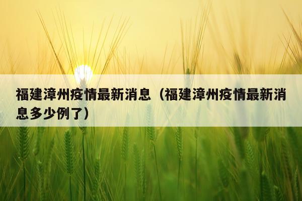 福建漳州疫情最新消息（福建漳州疫情最新消息多少例了）
