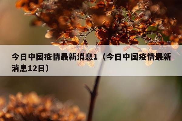 今日中国疫情最新消息1（今日中国疫情最新消息12日）
