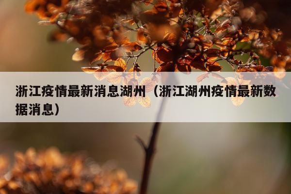 浙江疫情最新消息湖州（浙江湖州疫情最新数据消息）