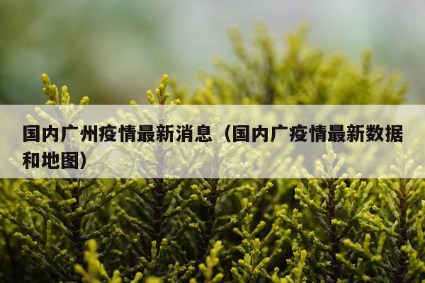 国内广州疫情最新消息（国内广疫情最新数据和地图）