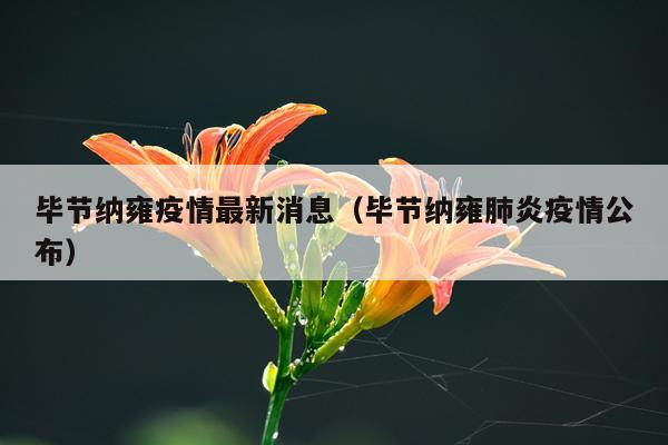 毕节纳雍疫情最新消息（毕节纳雍肺炎疫情公布）
