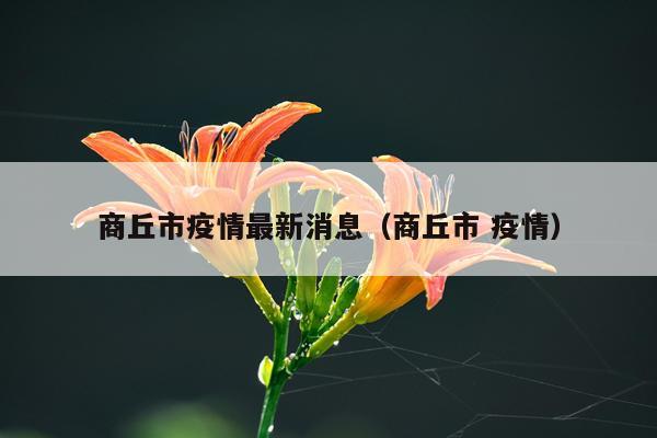 商丘市疫情最新消息（商丘市 疫情）